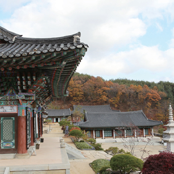 용문사