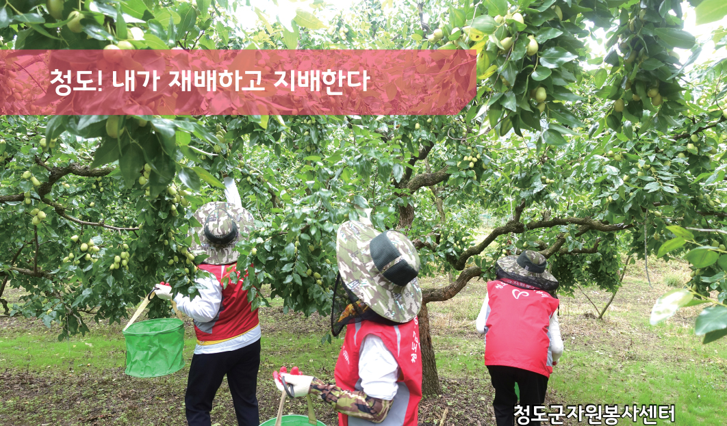 청도군자원봉사센터